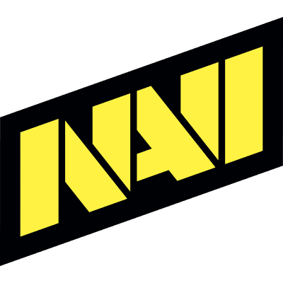 Настройки команды Natus Vincere