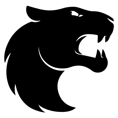 Настройки команды FURIA