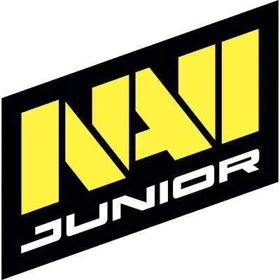 Настройки команды Natus Vincere Junior