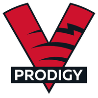 Настройки команды VP.Prodigy