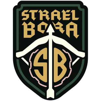 Настройки команды Strael Bora