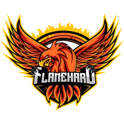 Настройки команды FlameHard