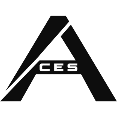 Настройки команды Team ACES