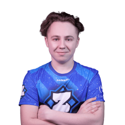 Настройки seNsite