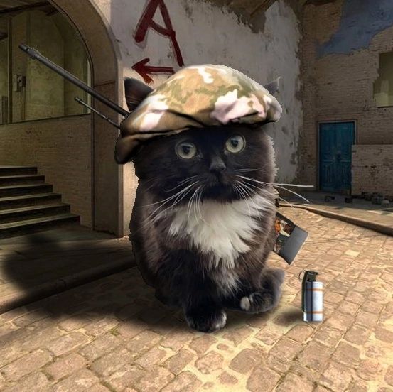 Настройки Farrr?