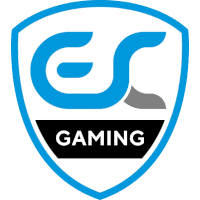 Настройки команды ESC Gaming