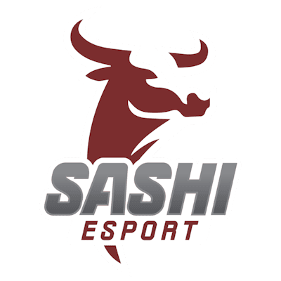 Настройки команды Sashi Academy