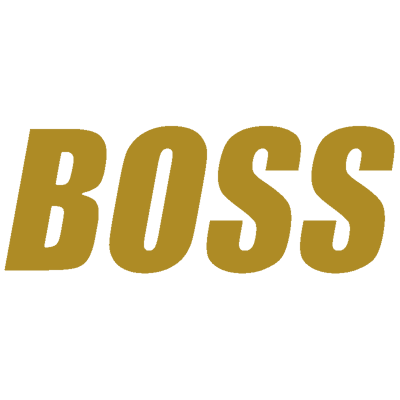 Настройки команды BOSS