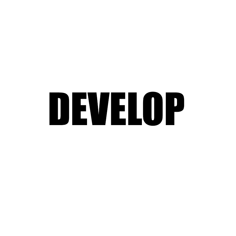 Настройки develop