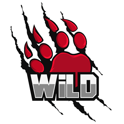 Настройки команды WiLD