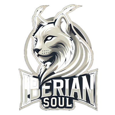 Настройки команды Iberian Soul