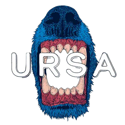 Настройки команды Ursa