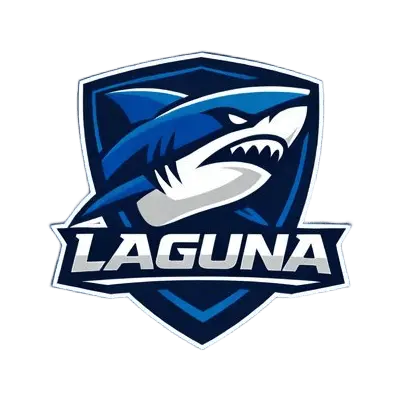 Настройки команды LAGUNA