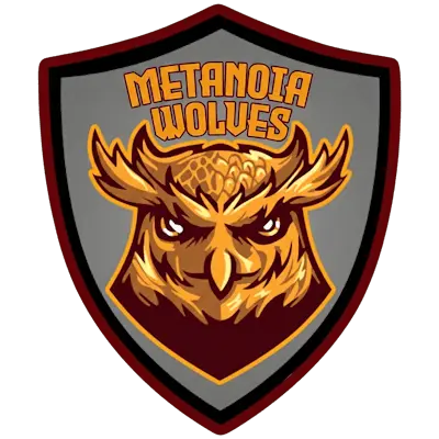 Настройки команды METANOIA Wolves