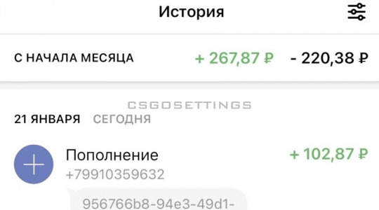 получение оплаты скинкешер получение оплаты SkinСashier