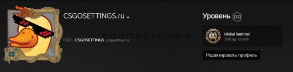 100й уровень steam