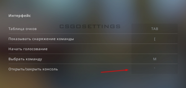 забиндить кнопку для открытия консоли в csgo