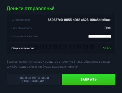 подтверждение оплаты скинкешер подтверждение оплаты SkinСashier
