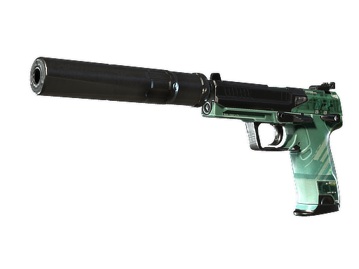 USP-S | PC-GRN немного поношенное для CS2