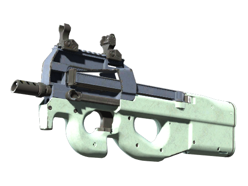 P90 | Storm после полевых испытаний для CS2