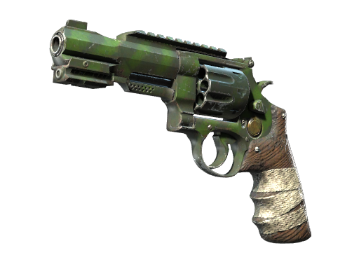 R8 Revolver | Survivalist после полевых испытаний для CS2