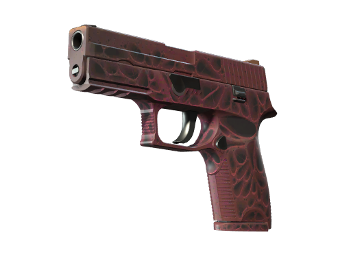 P250 | Contaminant немного поношенное для CS2