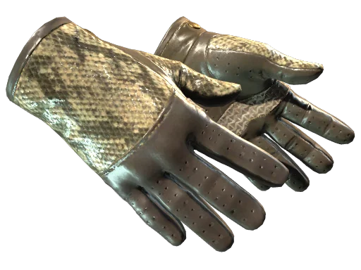 Driver Gloves | Diamondback немного поношенное для CS2