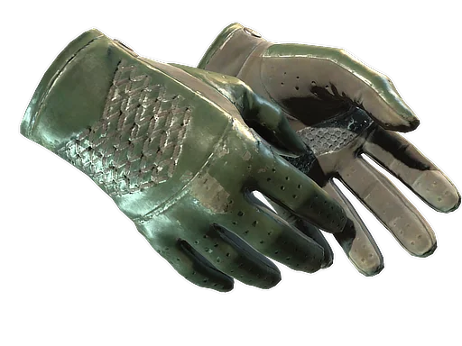 Driver Gloves | Racing Green поношенное для CS2