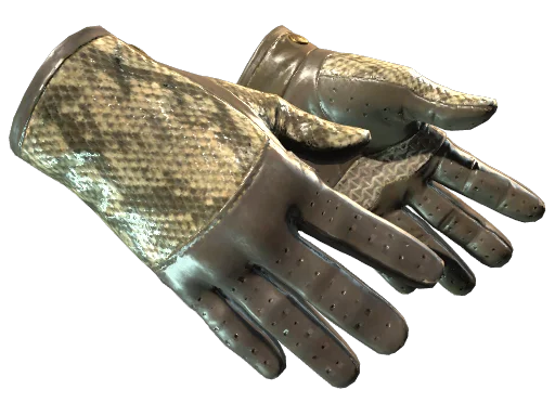 Driver Gloves | Diamondback после полевых испытаний для CS2
