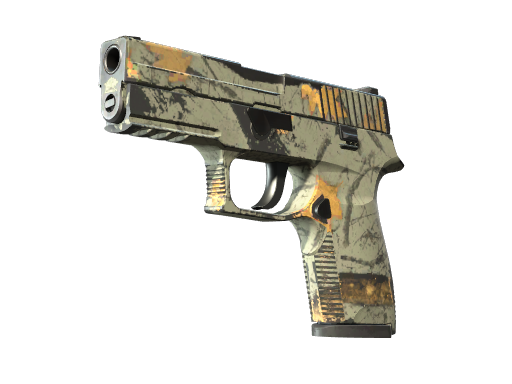P250 | Modern Hunter после полевых испытаний для CS2