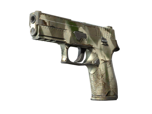 P250 | Bone Mask поношенное для CS2