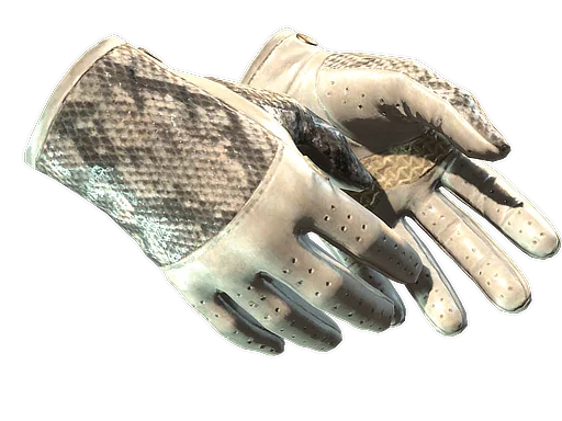 Driver Gloves | King Snake немного поношенное для CS2