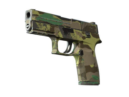 P250 | Boreal Forest поношенное для CS2