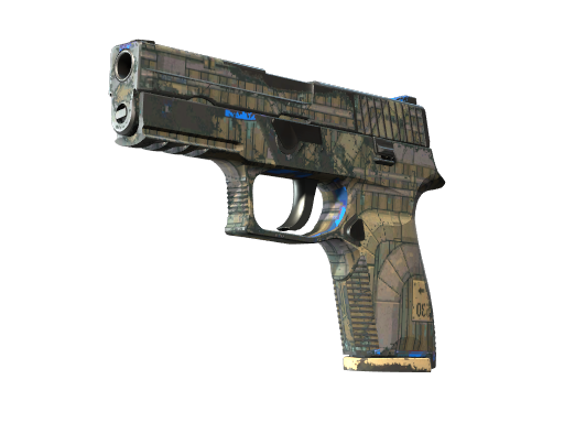 P250 | Exchanger поношенное для CS2