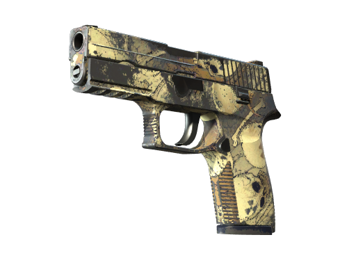 P250 | Contamination после полевых испытаний для CS2