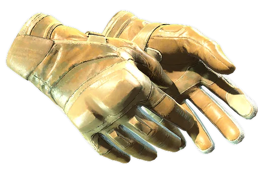 Moto Gloves | Transport после полевых испытаний для CS2