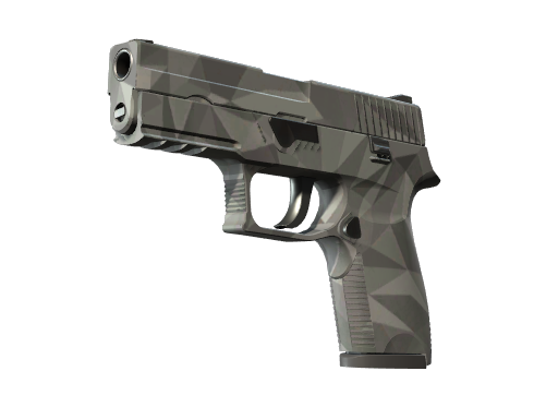 P250 | Facets немного поношенное для CS2