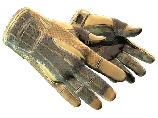 Sport Gloves | Arid после полевых испытаний для CS2