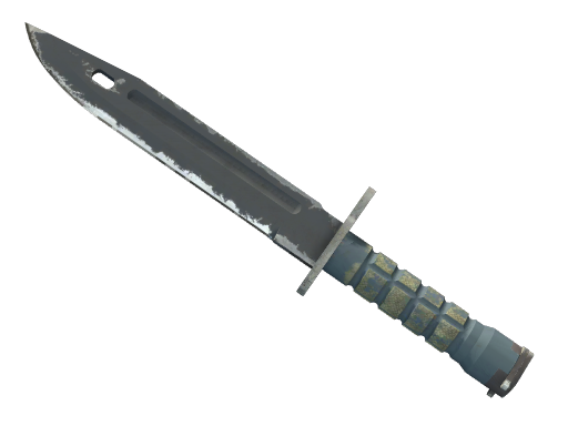 Bayonet | Night поношенное для CS2