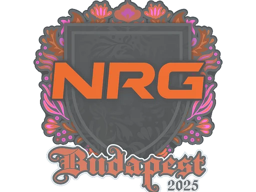 NRG | Budapest 2025 для CS2