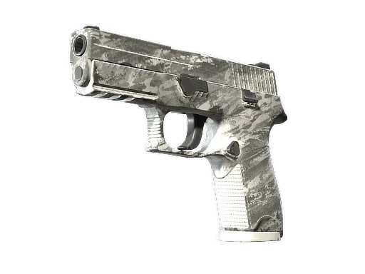 P250 | Sleet после полевых испытаний для CS2