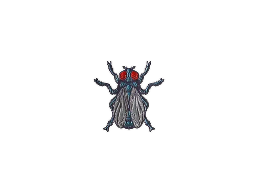 Fruit Fly (Foil)
